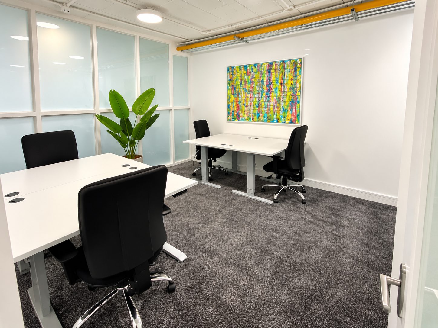 Suite 45 photo 2