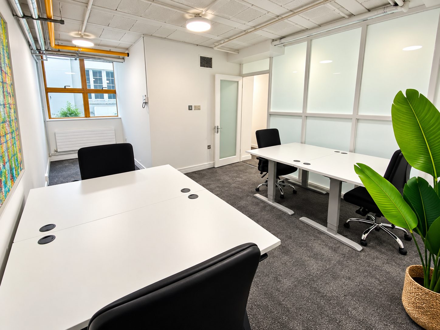 Suite 45 photo 3